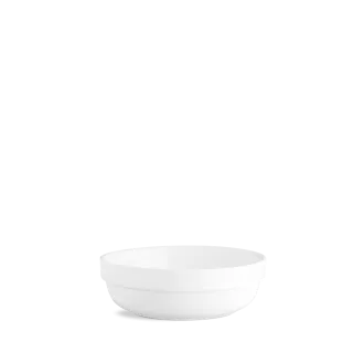 DIA1419.png