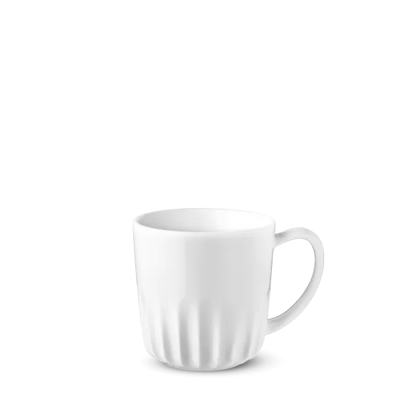 RIB0650.png